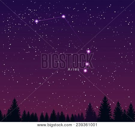 Night Sky With Aries Constellation. Vector Illustration. Traditional Zodiacal Sign. Concept