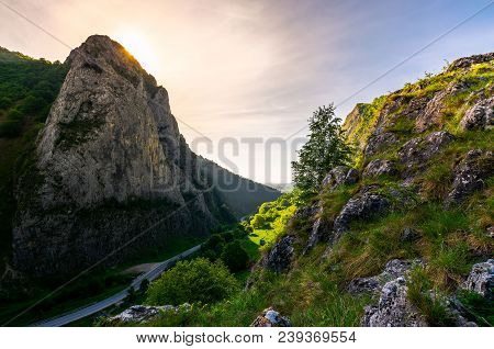 Road In Canyon Of Trascau Mountains In The Morning. Lovely Scenery Of Carpathian Landscape In Spring