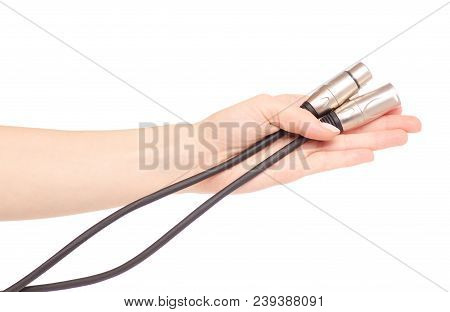 Xlr Cable In Hand Sound Microphone Electronic On White Background Isolation