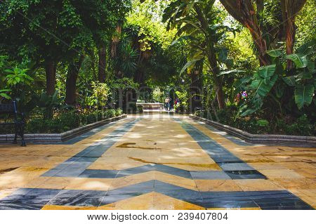 Park. Alameda Park Marbella. Malaga Province, Andalusia, Spain. Picture Taken - 3 May 2018.