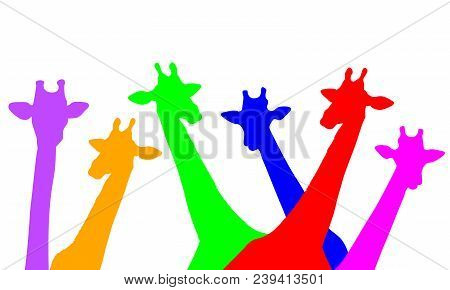 Group Of Cute Giraffes Peeking. You Can See Only The Head And Neck Of Giraffe. Cartoon Drawing Graph