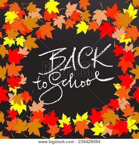 Back To School. Chalk Lettering On Blackboard Surface. Typography Poster With Autumn Leaves. Vector 