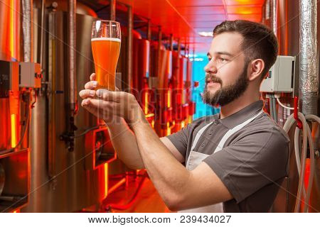 Light Beer Alcohol Brewery Worker Brewer Industry