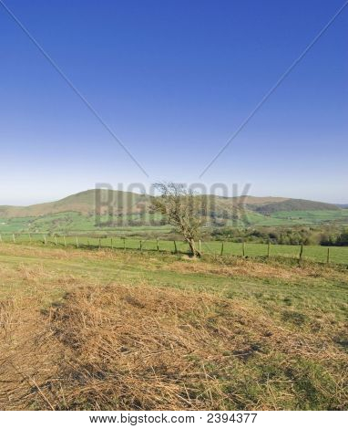 Shropshire
