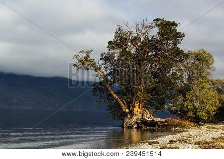 A Lake In Park In Lago Puelo Near Bariloche - Argentina