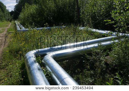 Metal Pipes Of Various Diameters Fuel Refinery Vivid