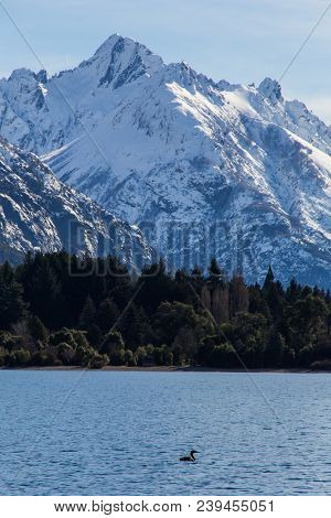 A Lake In Park In Lago Puelo Near Bariloche - Argentina