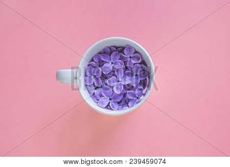 White Cup Full Of Lilac Flowers On The Pink Background.