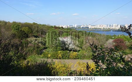 Top View Of The Botanical Garden In Kiev And The Dnieper Riverview From The Top Of The Kiev Botanica