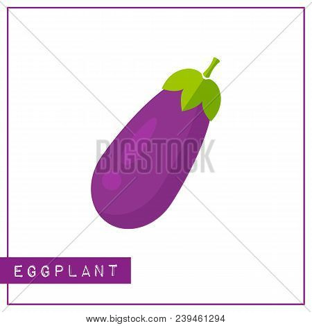 Bright Memory Training Card With Colorful Vegetable. Flat Design Isolated Violet Color Eggplant Or B