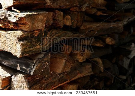 A Stack Of Firewood Of Different Species Of Trees Close Up.
