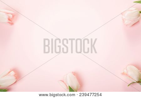 Flowers Composition. Frame Made Of Pink Flowers On White Background. Valentine's Day. Flat Lay, Top 