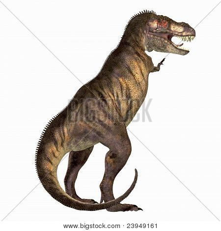 A Tyrannosaurus Rex