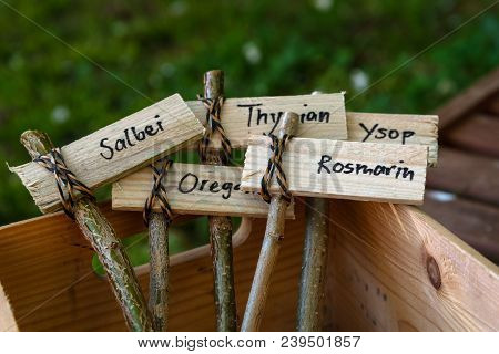 Creative Wooden Plant Markers, Labeled With German Names For Sage, Oregano, Thyme, Rosemary And Ysop