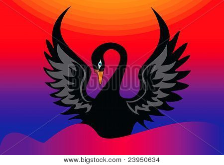 Black swan vektor