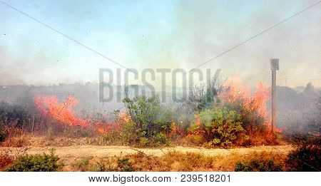 Flames That Burn Vegetation In A Field