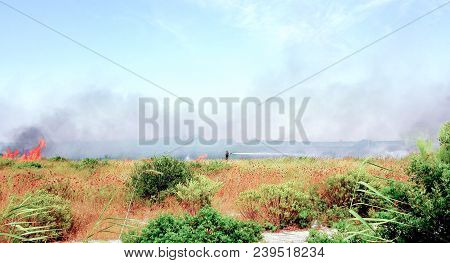 Fireman In Action With Hydrant And High Flames Behind In A Field