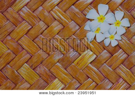 Keře nebo Plumeria Ortempletree na pozadí rákos