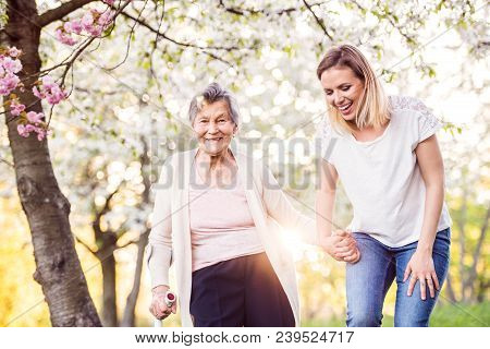Elderly Grandmother With Forearm Crutch And An Adult Granddaughter Walking Outside In Spring Nature.