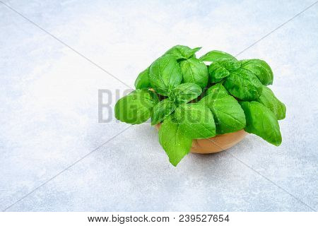 Green Fresh Homemade Basil, Spicy Herb In A Wooden Bowl