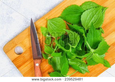 Leaves Of Fresh Green Nettle On A Cutting Wooden Board With A Knife On A Gray Concrete Table