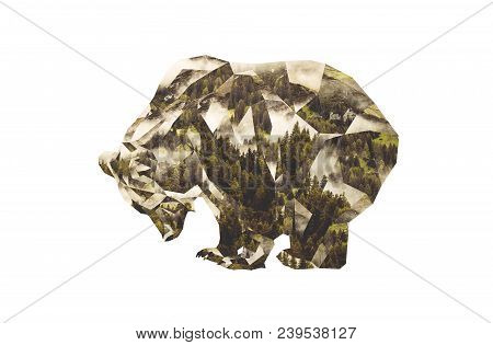 Brown Bear And Coniferous Forest. Low Poly Photocollage.