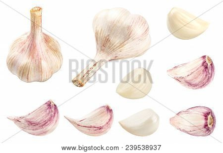 Collection Of Fresh Garlic Isolated On White Background. Set Of Multiple Images. Part Of Series