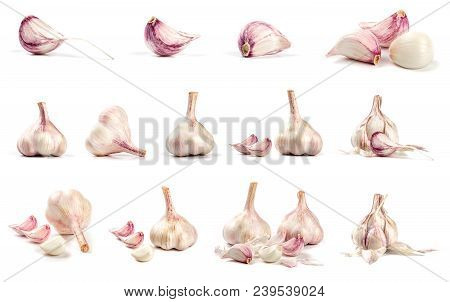 Collection Of Fresh Garlic Isolated On White Background. Set Of Multiple Images. Part Of Series