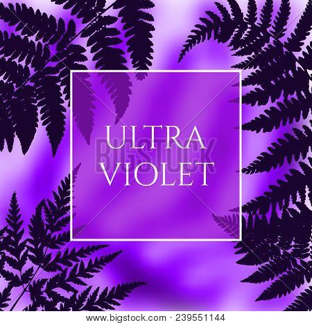 Ultra Violet Background