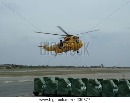 Raf Seaking