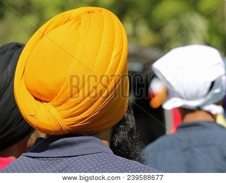 Sikh Man With Yellow Turban And Long Black Beard