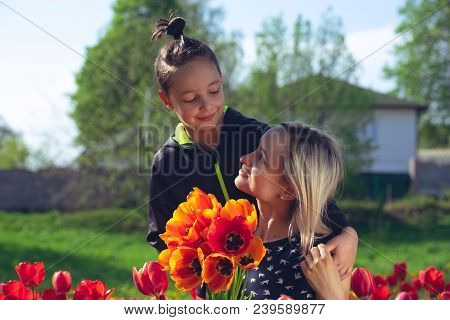 Happy Family In The Red And Yellow Tulips Field