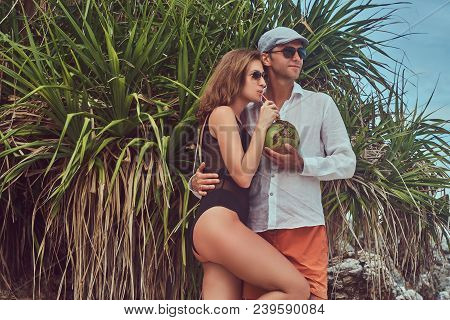 An Ttractive Couple, Holds Coconut With A Tube, Posing On A Beach Near Palm Bush, Enjoys A Vacation 