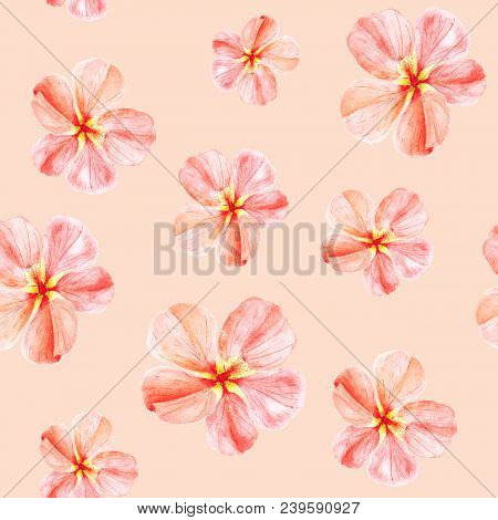 Handpainted Watercolor Seamless Pattern With Red Mallow Flowers Abutilon On Peach Background.