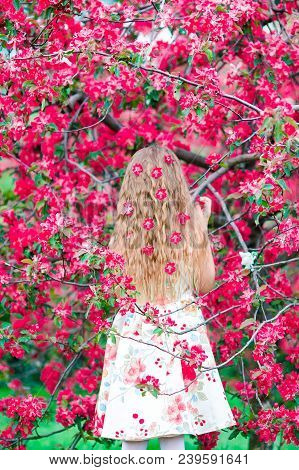 Adorable Little Girl In Blooming Apple Garden On Beautiful Spring Day. Back View Of Beautiful Long H