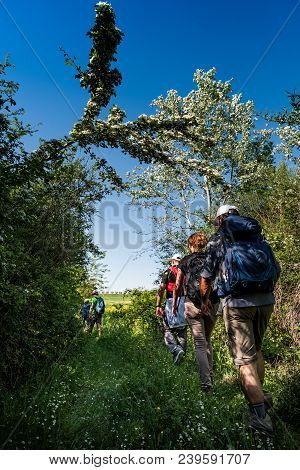Asciano, Tuscany, Italy - Unknown People Walking