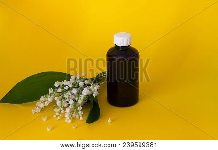 Lily Of The Valley, Essential Oil Convallaria Majalis (extract, Tincture, Remedy) With Fresh Flowers