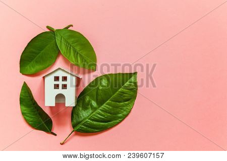 Miniature Toy Model House With Green Leaves On Pink Pastel Colourful Trendy Backgdrop. Eco Village, 