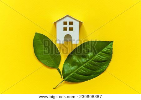 Miniature Toy Model House With Green Leaves On Yellow Colourful Trendy Backgdrop. Eco Village, Abstr