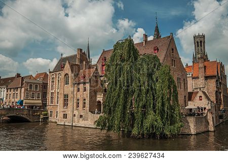 Bridge And Leafy Tree With Brick Buildings On The Canal Edge In A Sunny Day At Bruges. With Many Can