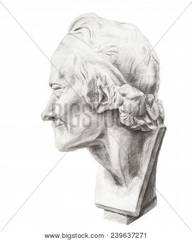 Drawing Of Voltaire's Plaster Head. Head Of Voltaire In Profile. Gypsum Sculpture Of The Philosopher