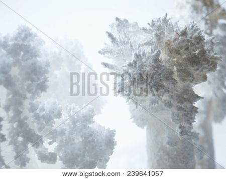 White chemical crystals forming. needle like Urea crystals (carbamide) forming by evaporation of water.