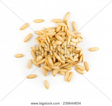 Melon Seeds Isolated
