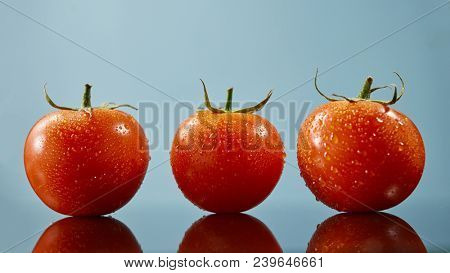 Fresh tomatoes with water drops isolated on glossy blue background