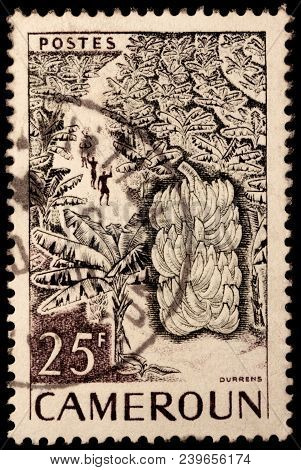Luga, Russia - October 7, 2017: A Stamp Printed By Cameroon Shows View Of The Cameroonian Banana Pla