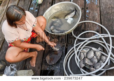 Woman Cleaning The Fishs In Koh Kood Island On Thailand