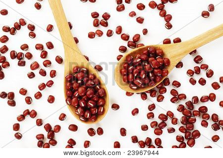 Vörös Azuki bab, a kanál