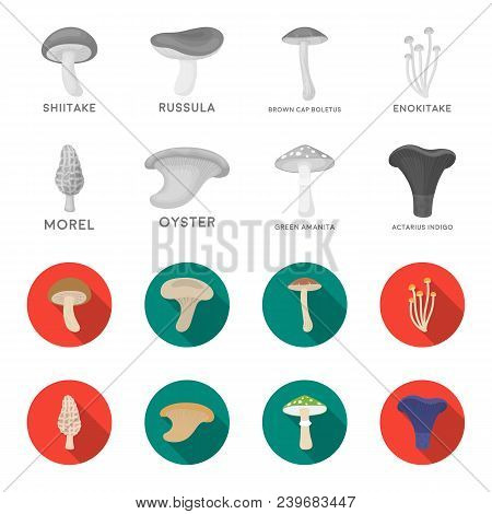 Morel, Oyster, Green Amanita, Actarius Indigo.mushroom Set Collection Icons In Monochrome, Flat Styl