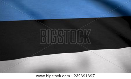 Flag With Original Proportions. Closeup Of Grunge Flag Of Estonia.