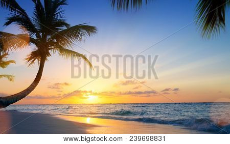 Art Summer Vacation Drims; Beautiful Sunset Over The Tropical Beach